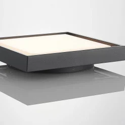 Udendørs Loftlamper ^ Lucande LED udendørs loftlampe Birta, mørkegrå, 27 cm, IP54