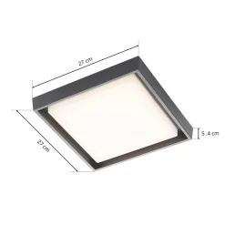 Udendørs Loftlamper ^ Lucande LED udendørs loftlampe Birta, mørkegrå, 27 cm, IP54