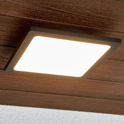 Terrassebelysning|Udendørs Loftlamper ^ Lucande LED udendørs loftlampe Mabella, 23 cm, antracit
