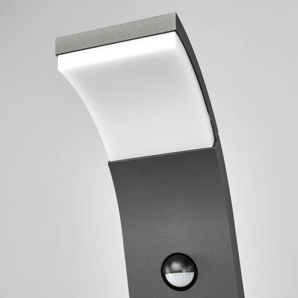 Gadebelysning Med Sensor|Gadebelysning ^ Lucande Timm LED-vejlampe, sensor, 100 cm, antracit, IP54