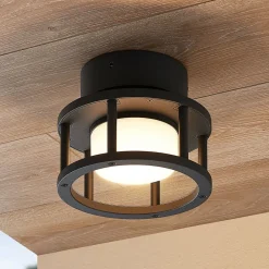 Lucande Terrassebelysning|Udendørs Loftlamper > udendørs loftlampe Berenike, Ø 17 cm, grå, GX53