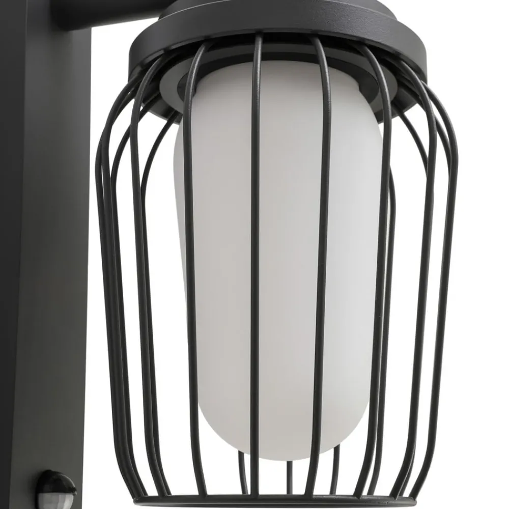 Væglampe Med Sensor|Væglamper ^ Lucande udendørs væglampe Chandan, 30 cm, antracit, sensor