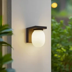 Lucande Terrassebelysning|Væglamper > udendørs væglampe Ovaali, glas, mørkegrå, IP65