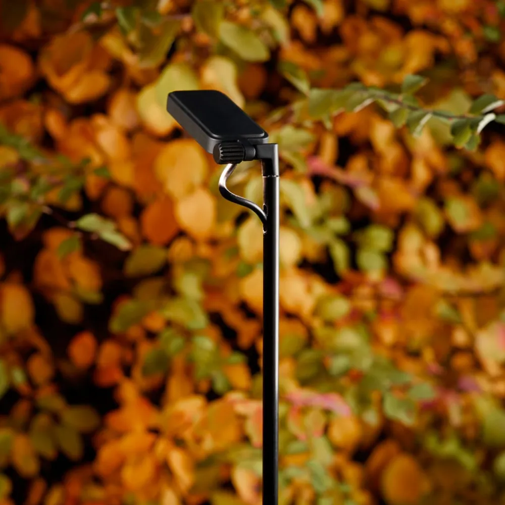 Luceplan Gadebelysning > LED-vejlampe Flia, 120 cm høj, sort, plast