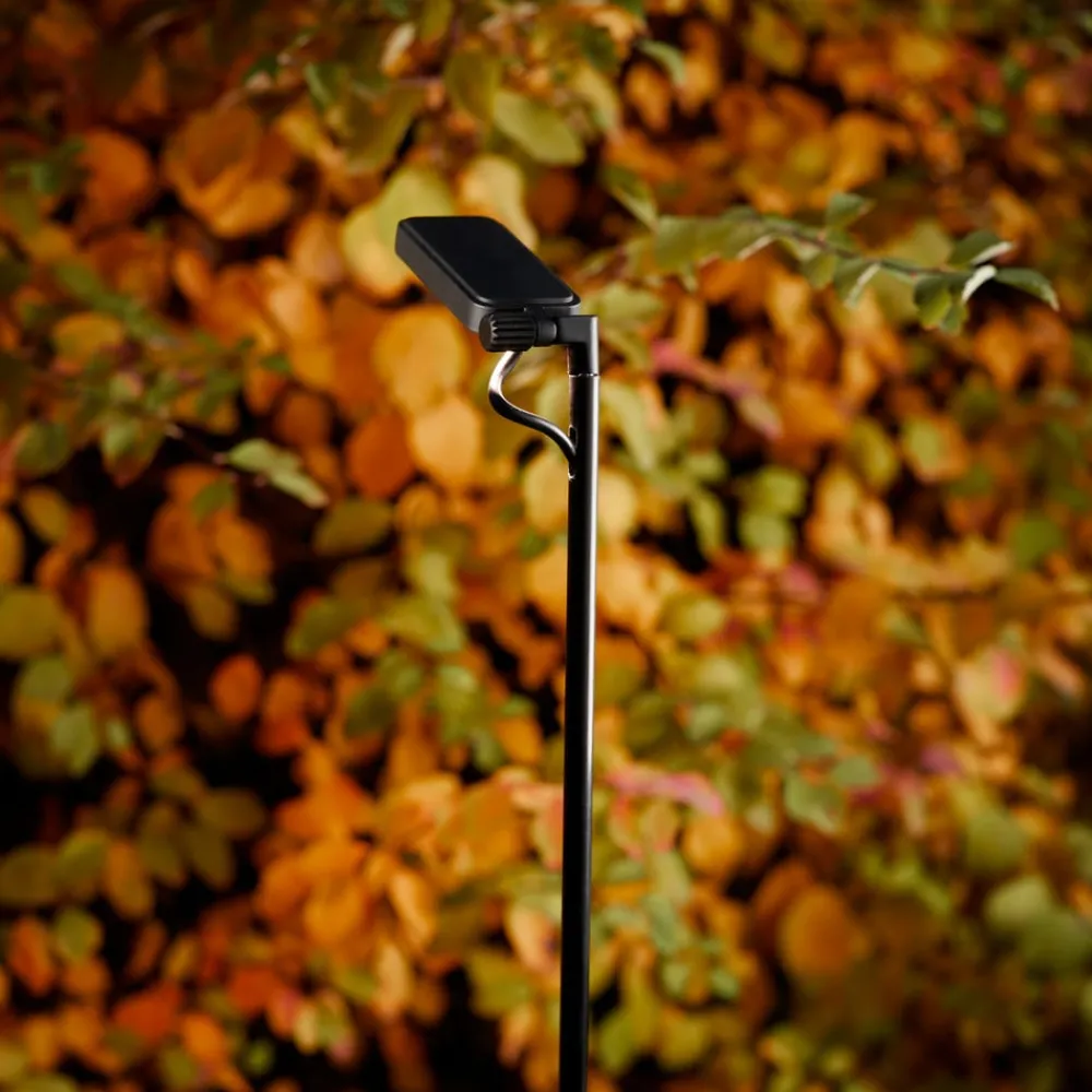 Gadebelysning ^ Luceplan LED-vejlampe Flia, 3 lyskilder, sort, plast