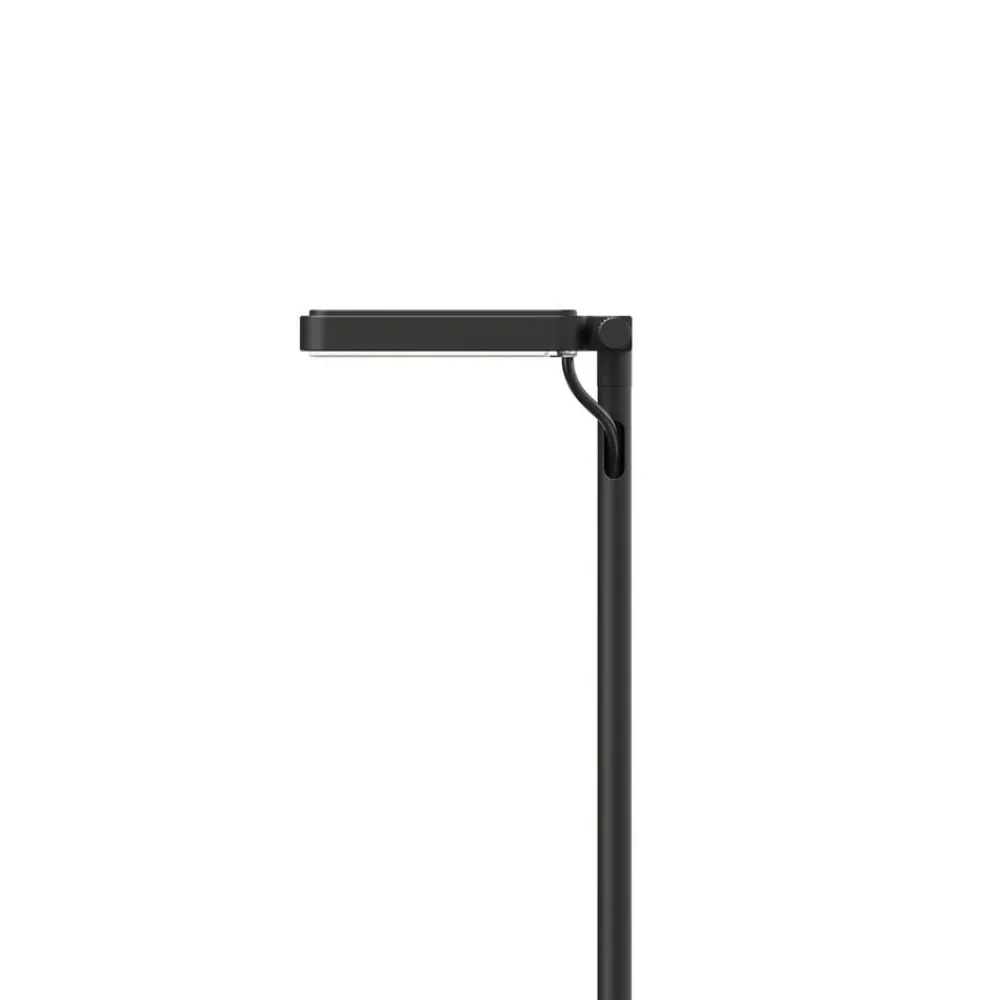 Gadebelysning ^ Luceplan LED-vejlampe Flia, 3 lyskilder, sort, plast
