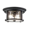 Udendørs Loftlamper ^ FEISS Merrill udendørs loftslampe i sort