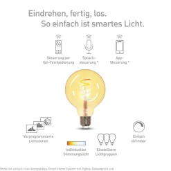 Filament Pære|Smarte Lyskilder ^ tint Müller Licht LED-globe G95 E27 5,5 W, guld