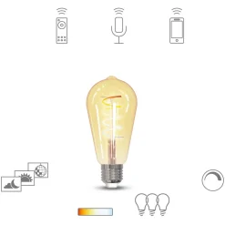 tint Dæmpbar Led-Pære|Filament Pære > Müller Licht LED-pære Retro Gold E27 5,5 W