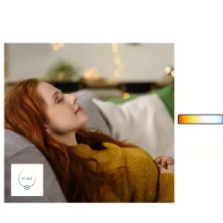 tint Dæmpbar Led-Pære|Filament Pære > Müller Licht LED-pære Retro Gold E27 5,5 W