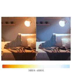 tint Dæmpbar Led-Pære|Filament Pære > Müller Licht LED-pære Retro Gold E27 5,5 W