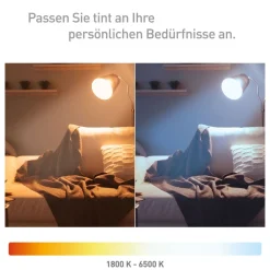 tint Dæmpbar Led-Pære|Filament Pære > Müller Licht LED-pære Retro Gold E27 5,5 W
