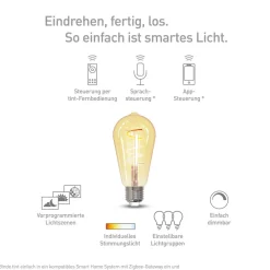 tint Dæmpbar Led-Pære|Filament Pære > Müller Licht LED-pære Retro Gold E27 5,5 W