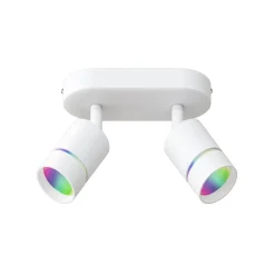 tint Loftlamper|Spotlights > Müller Licht Nalo LED-spot, 2 lyskilder
