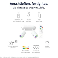 tint Loftlamper|Spotlights > Müller Licht Nalo LED-spot, 2 lyskilder