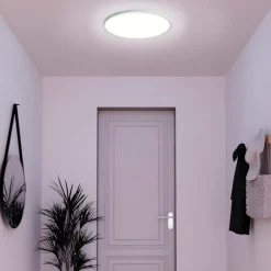 tint Arbejdsrum/Kontor|Loftlamper > Müller Licht Smart LED-loftlampe Amela, Ø 42 cm