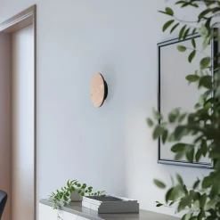 Argon Gang|Væglamper > Orios LED-væglampe, træ, Ø 20 cm, indirekte spotlight