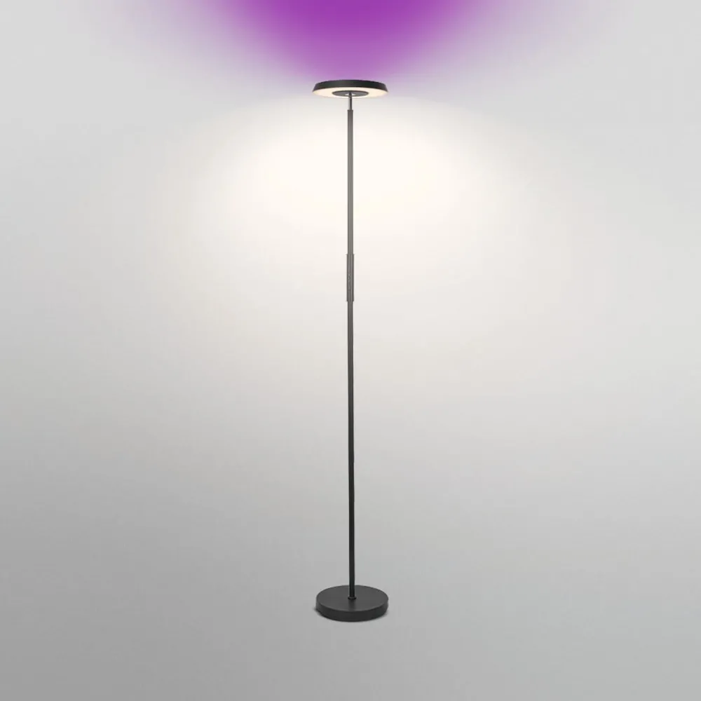 OSRAM SMART+ Gulvlamper|Gulvlamper > WiFi LED-gulvlampe, sort, op/ned, RGB CCT