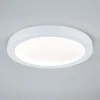 Paulmann Loftlamper > Abia LED-panel Ø 30cm 2.700 K mat hvidt