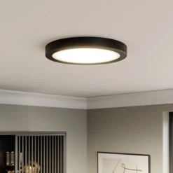 Paulmann Loftlamper > Abia LED-panel Ø 30cm 2.700 K mat sort