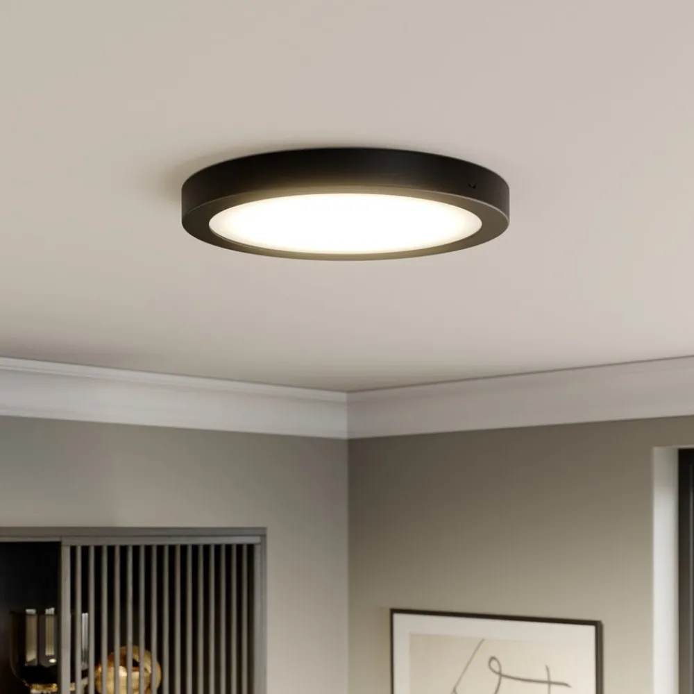 Paulmann Loftlamper > Abia LED-panel Ø 30cm 2.700 K mat sort