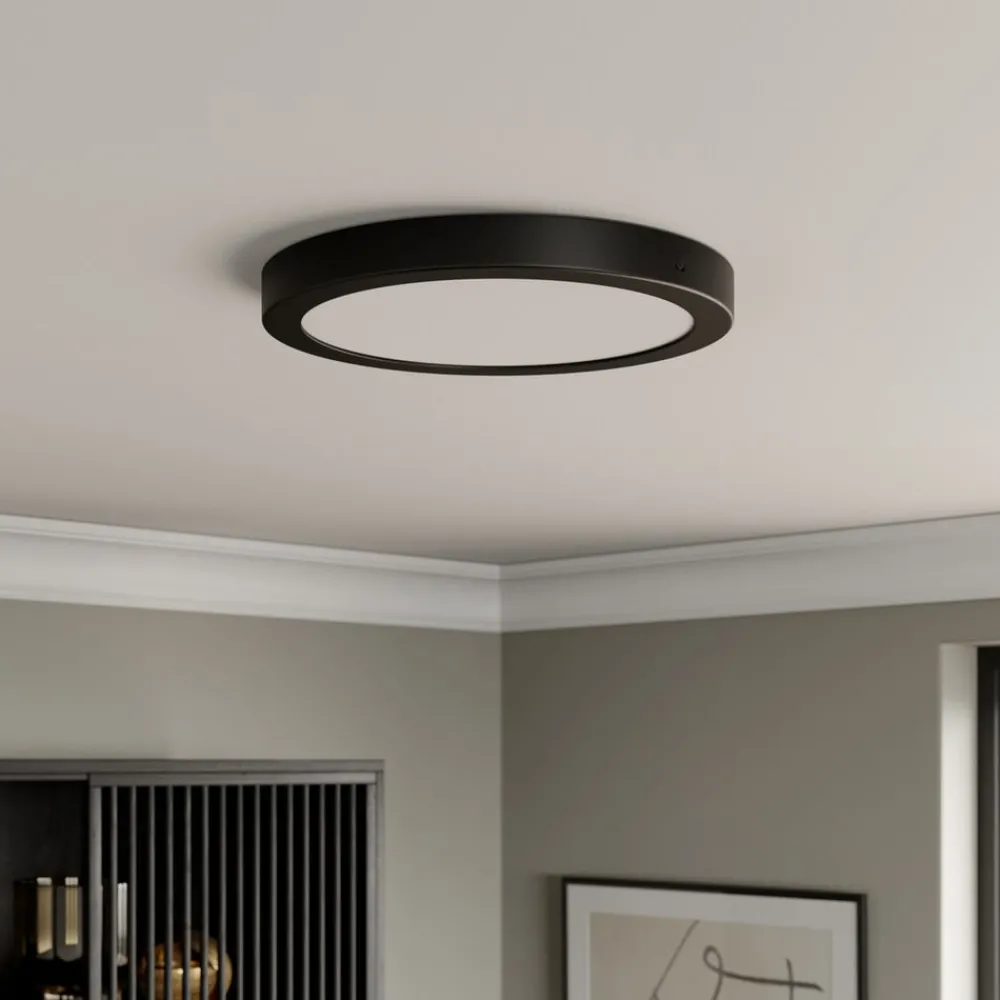 Paulmann Loftlamper > Abia LED-panel Ø 30cm 2.700 K mat sort