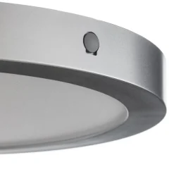 Paulmann Arbejdsrum/Kontor|Loftlamper > Abia LED-panel Ø 30 cm 2.700 K mat krom