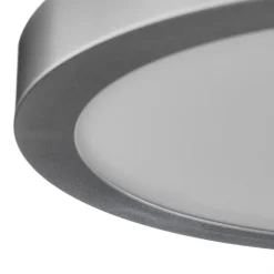 Paulmann Arbejdsrum/Kontor|Loftlamper > Abia LED-panel Ø 30 cm 2.700 K mat krom