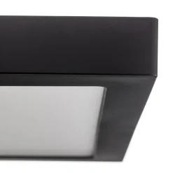 Arbejdsrum/Kontor ^ Paulmann Abia LED-panel 30x30 cm 2.700 K sort