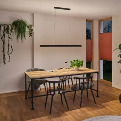 Paulmann Pendellamper|Pendellamper > Aptare LED-hængelampe, ZigBee, sort