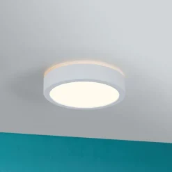 Paulmann Loftlamper > Aviar LED-loftlampe Ø 22 cm hvid 3.000 K