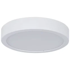 Paulmann Loftlamper > Aviar LED-loftlampe Ø 22 cm hvid 4.000 K