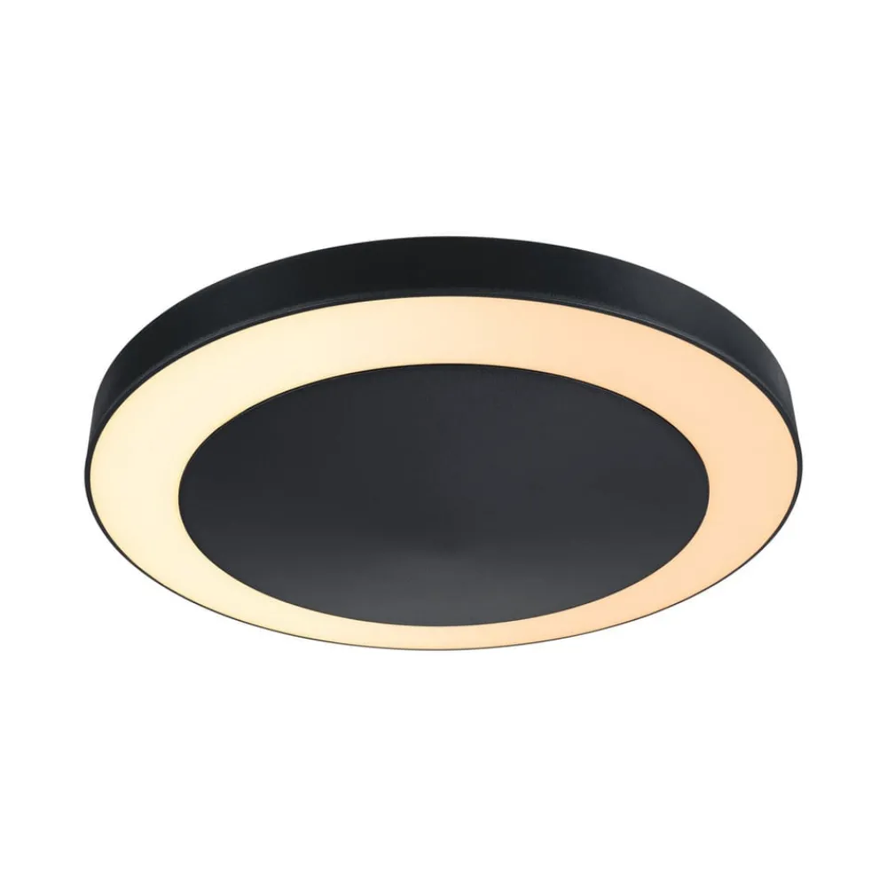 Paulmann Udendørs Loftlamper > Circula LED-udendørslampe ZigBee antracit