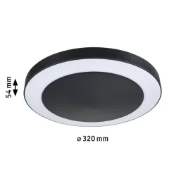 Paulmann Udendørs Loftlamper > Circula LED-udendørslampe ZigBee antracit