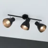 Paulmann Loftlamper > Davy loftlampe, sort, 3 lyskilder