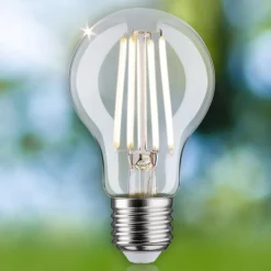 Filament Pære ^ Paulmann Eco-Line LED-pære E27 2,5 W 525lm 4.000 K
