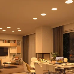 Paulmann Arbejdsrum/Kontor|Loftlamper > LED-panel Veluna 3.000K rund ca. 12,5cm
