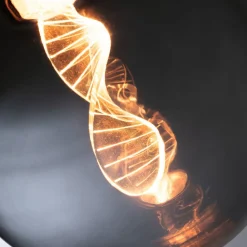 Filament Pære ^ Paulmann LED-pære E27 3,5W Helix 1800K G125 smoke