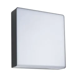 Paulmann Væglampe Med Sensor > LED udendørs væglampe Azalena, sensor, antracit
