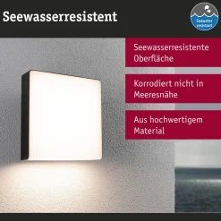 Paulmann Væglampe Med Sensor > LED udendørs væglampe Azalena, sensor, antracit