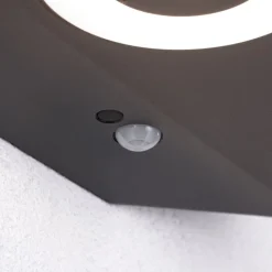 Væglampe Med Sensor|Væglamper ^ Paulmann LED-væglampe Silma antracit 2 lyskilder IP44