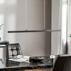 Paulmann Pendellamper > Lento LED-pendel sort dæmpbar Up-&Downlight