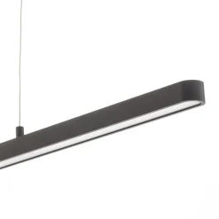 Paulmann Pendellamper > Lento LED-pendel sort dæmpbar Up-&Downlight