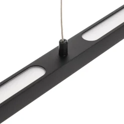 Paulmann Pendellamper > Lento LED-pendel sort dæmpbar Up-&Downlight