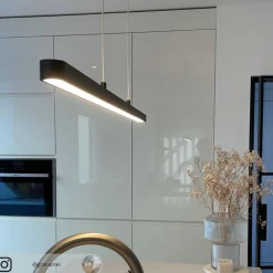 Paulmann Pendellamper > Lento LED-pendel sort dæmpbar Up-&Downlight