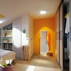 Paulmann Arbejdsrum/Kontor|Loftlamper > Lunar LED-panel, rundt, Ø 30 cm, mat hvid