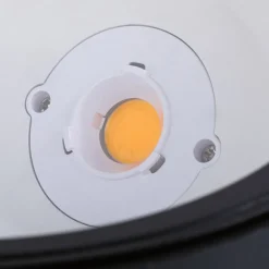 Nedgravet Udebelysning|Udendørs Spot ^ Paulmann Ocos LED nedgravningslampe