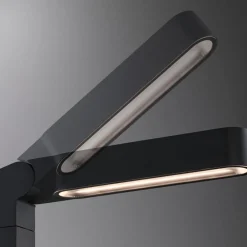 Paulmann Gadebelysning > Plug & Shine LED Ito-projektor, lodret, IP65
