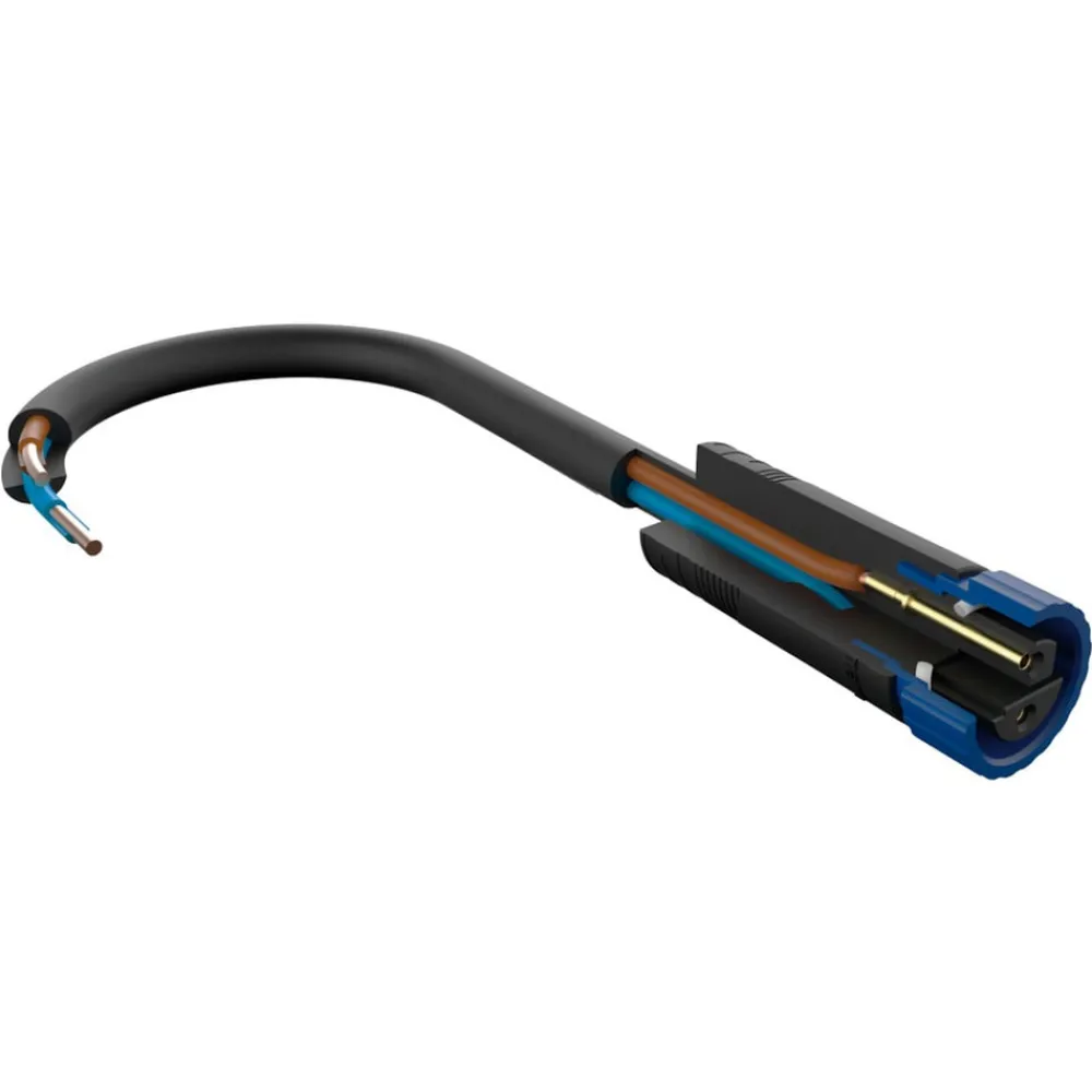 Paulmann Julepynt|Julestjerner > Smart LED-julesæt Plug & Shine Star 10 m kabel