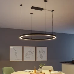 Paulmann Driver Konstant Spænding > strømforsyning Power Box Linion sort ZigBee 230/24V